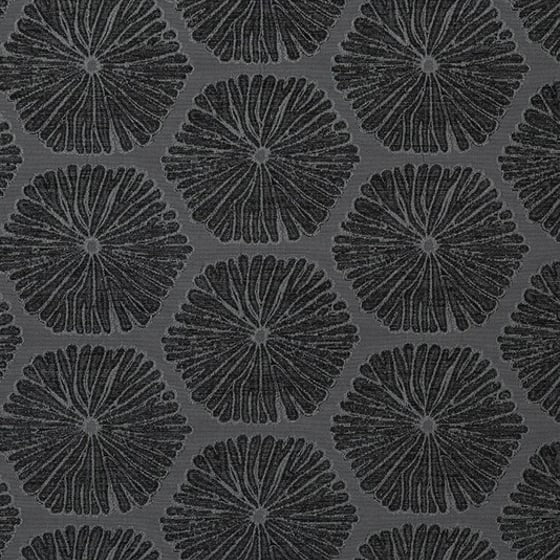 Sea Urchin Fabric by Mokum in Slate