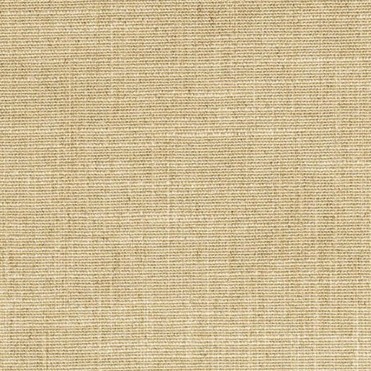 Mica Fabric by Catherine Martin in Champagne