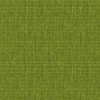 Rien Fabric by James Dunlop in Spinach