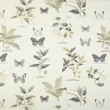 Darwin Fabric by James Dunlop in Oyster Grey