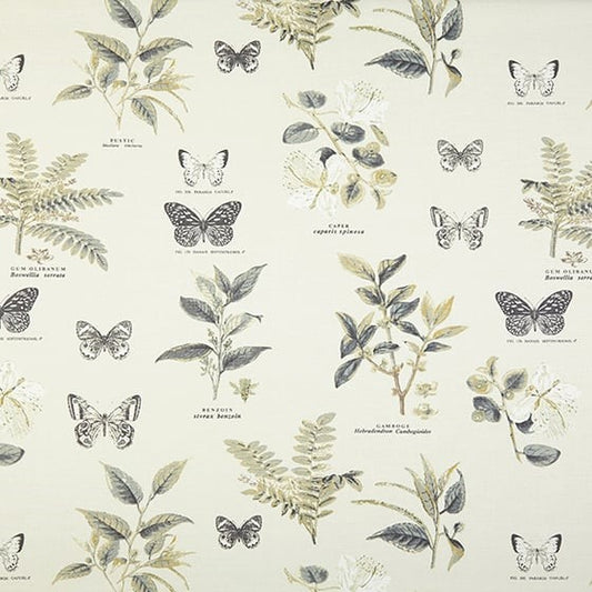 Darwin Fabric by James Dunlop in Oyster Grey