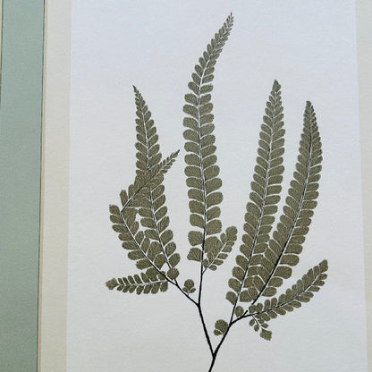 Wallpaper Craft Bundle - Fern Gallery Blue