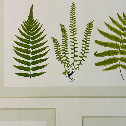 Wallpaper Craft Bundle - Fern Gallery Green