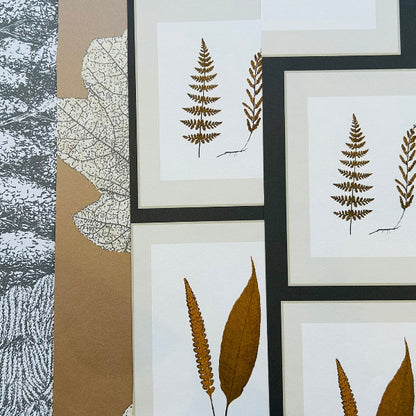 Wallpaper Craft Bundle - Oak Filigree Copper