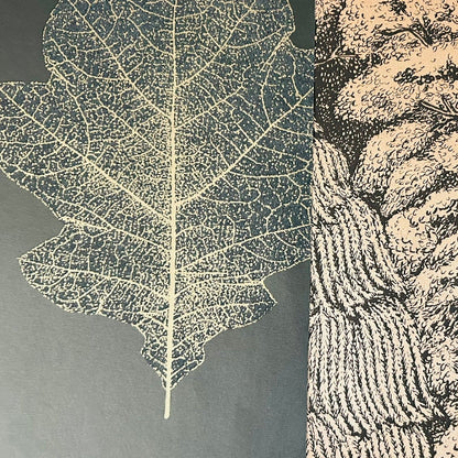 Wallpaper Craft Bundle - Oak Filigree Charcoal