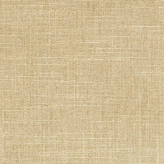 Mica Fabric by Catherine Martin in Champagne