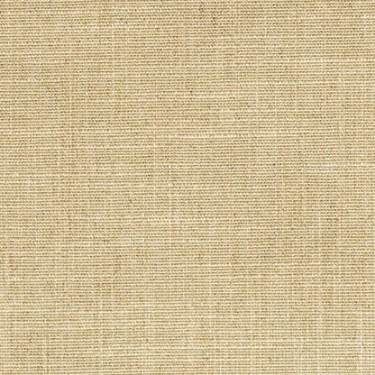 Mica Fabric by Catherine Martin in Champagne